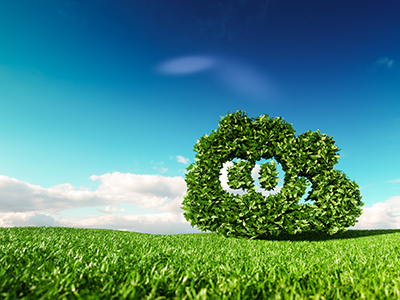Energy and Environmental Policy Trends: Indirect Carbon Tax Costs Reduced by Policy Design