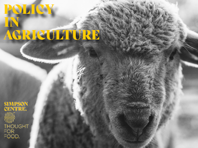 Policy in Agriculture Webinar Series - Part 1: Stuck in the Middle? Farm Sizes in Canadian Agri-Food