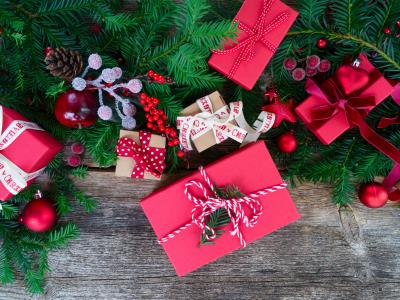 Social Policy Trends: Fixing Holes in the Social Safety Net