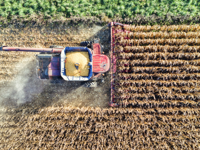 Carlo Dade: Food can be re-engagement recipe for Beijing, Ottawa