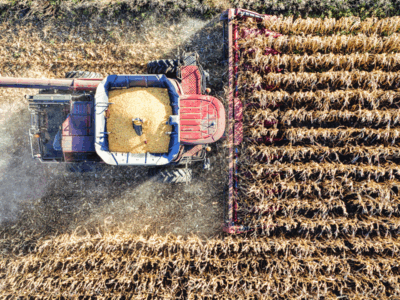 Alternate Text or Title of article